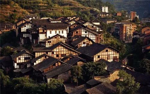 东营市垦利区在河南郑州成功举办黄河口农品推介会